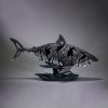 shark 1
