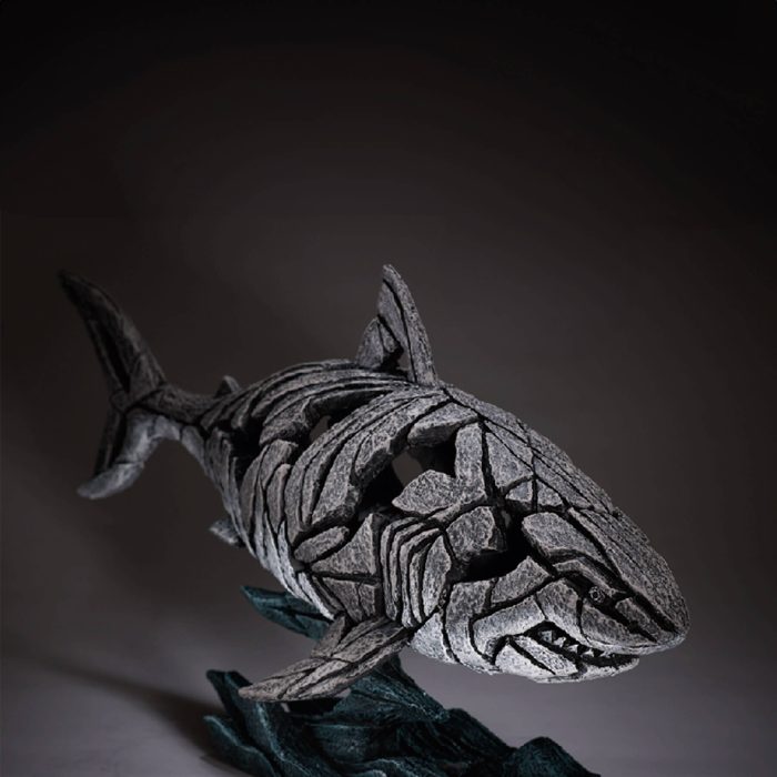 shark 2 shark 2