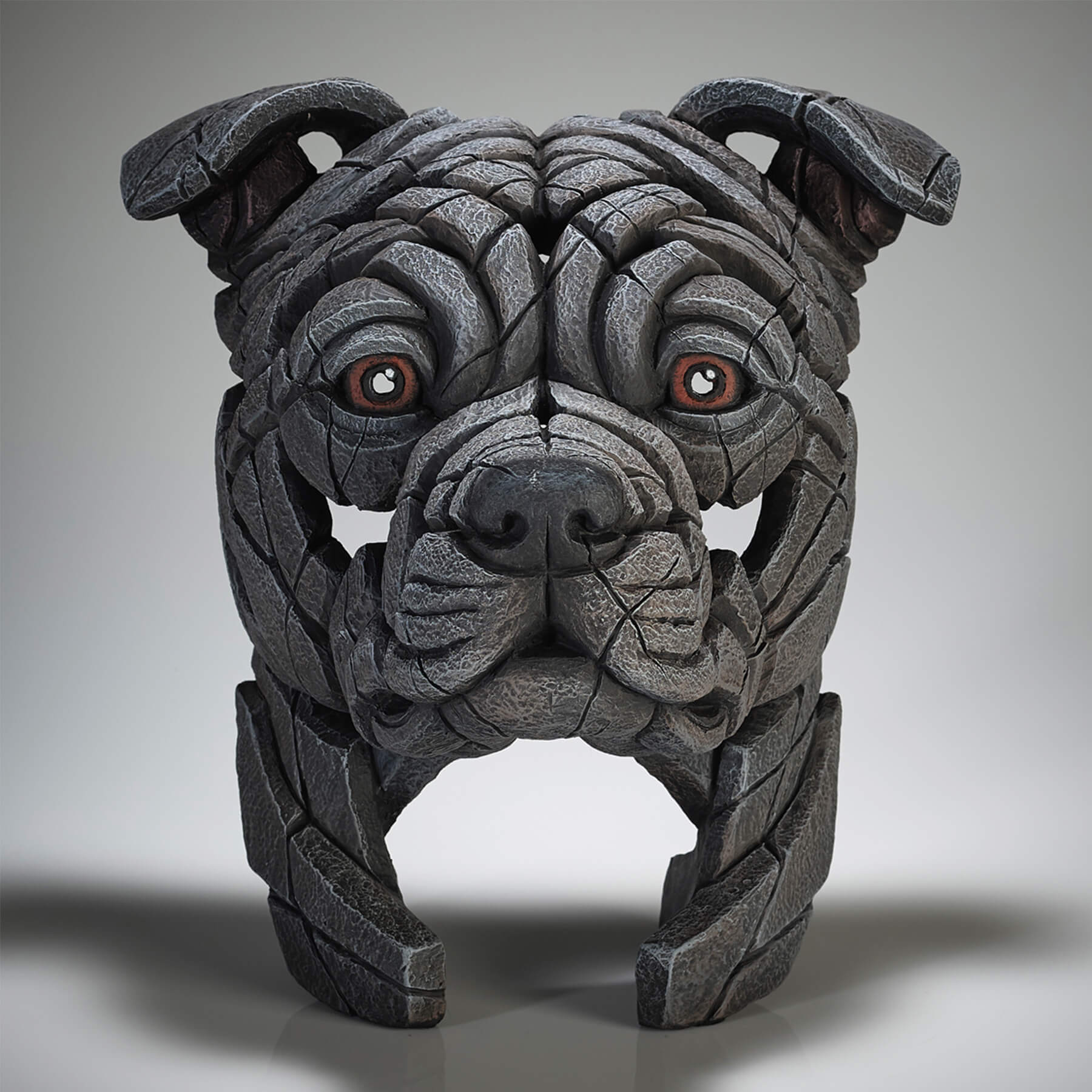 Staffordshire Bull Terrier Bust - 'Blue' - Edge Sculpture - EDB27BL