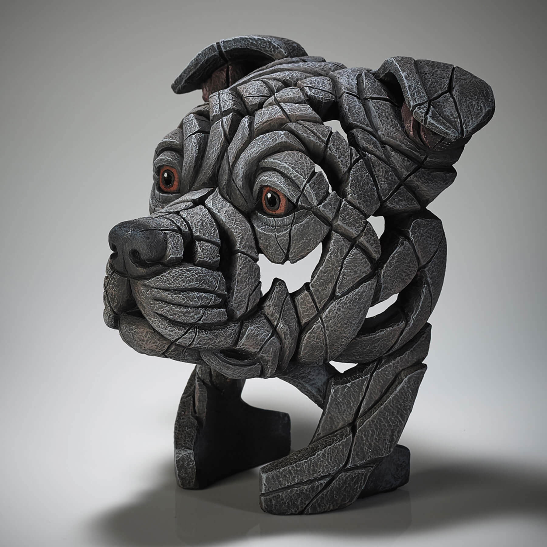 Staffordshire Bull Terrier Bust - 'Blue' - Edge Sculpture - EDB27BL - Image 3