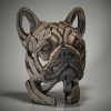 French bulldog-fawn3