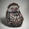 Hedgehog1