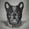 french Bulldog Pied1