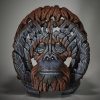 orangutan1