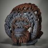 orangutan4