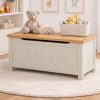 ivan stone toy box