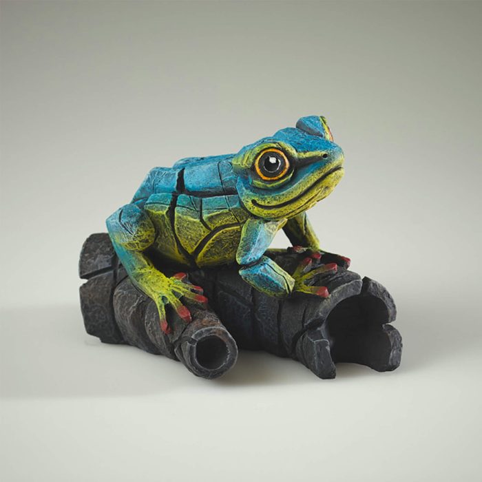 blue yellow frog xx blue yellow frog xx