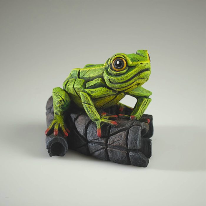green frog xx green frog xx