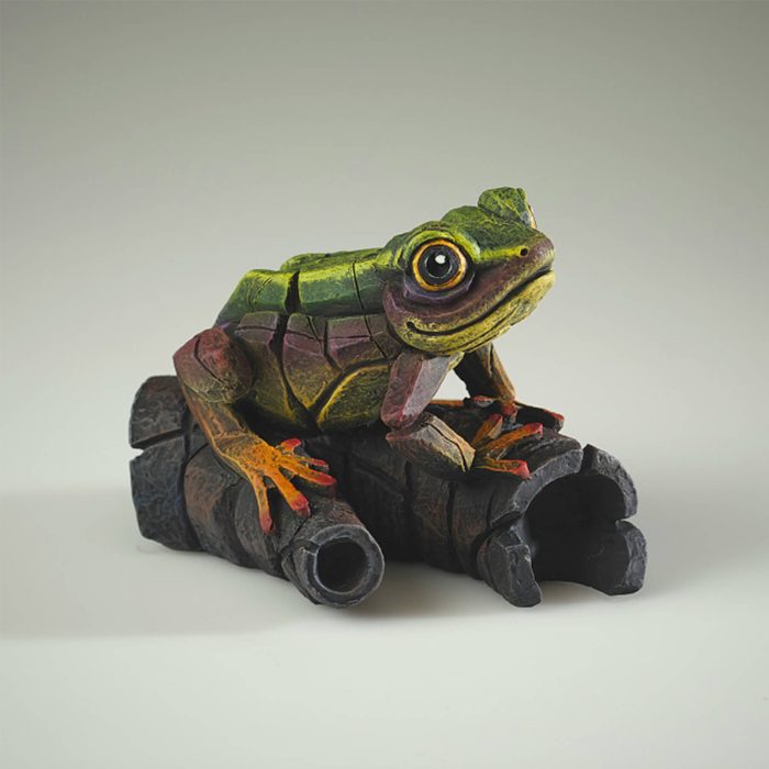 rainbow green frog x rainbow green frog x