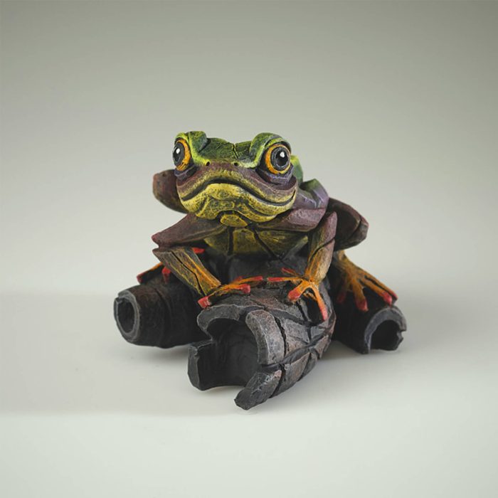 rainbow green frog xx rainbow green frog xx