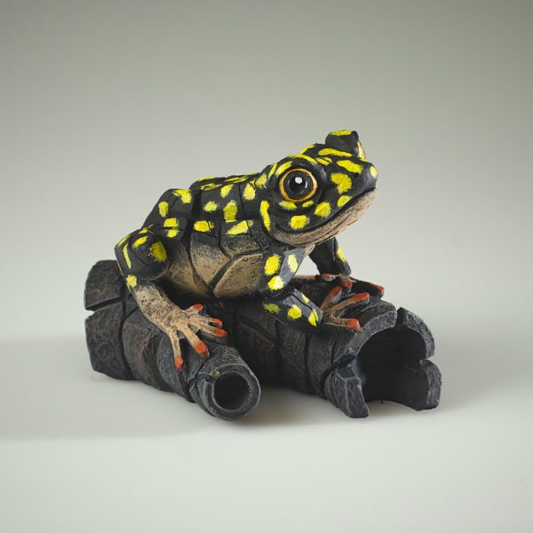 African Frog - Yellow Spot - Edge Sculpture - ED43YS