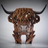 highland cow 1