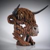 highland cow 3
