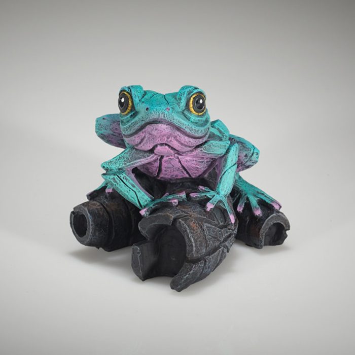 aqua pink frog xx aqua pink frog xx