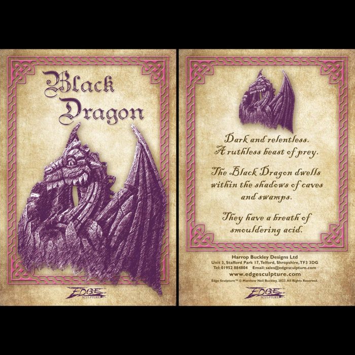 dragon-insert-black-WEB-1168x1168 dragon-insert-black-WEB-1168x1168