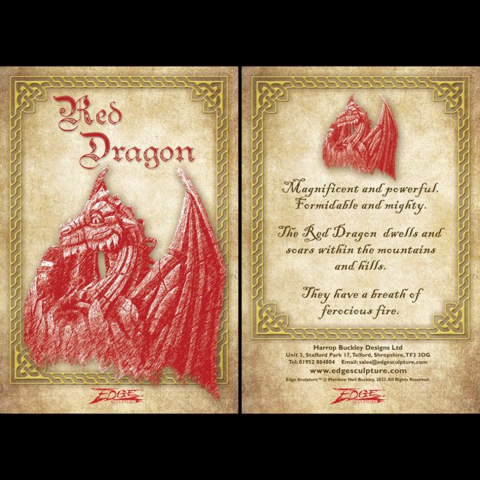dragon-insert-red-WEB-1168x1168 dragon-insert-red-WEB-1168x1168