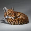 ED49-CURLED-FOX-B-WEB-1168x1168