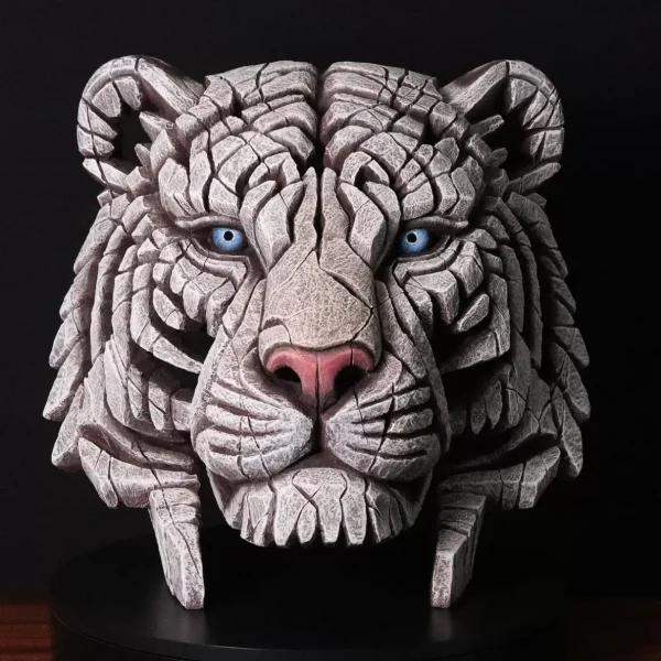White Tiger Bust - Siberian - Edge Sculpture - EDB31W