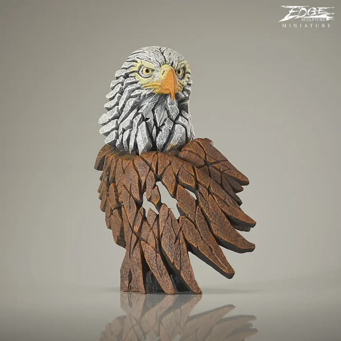Bald eagle-2 Bald eagle-2