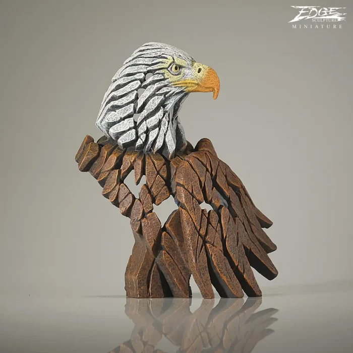 Bald eagle-3 Bald eagle-3