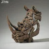 Rhino-2